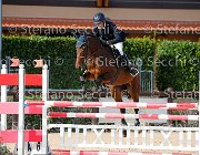 Del Covillo Arghena GioCav2013 S5 4541 : Arghena, Campionati Italiani Giovani Cavalli, Cattolica, Del Covillo Fabio, ph Stefano Secchi ©